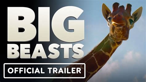 big beasts torrent|Big Beasts — Official Trailer .